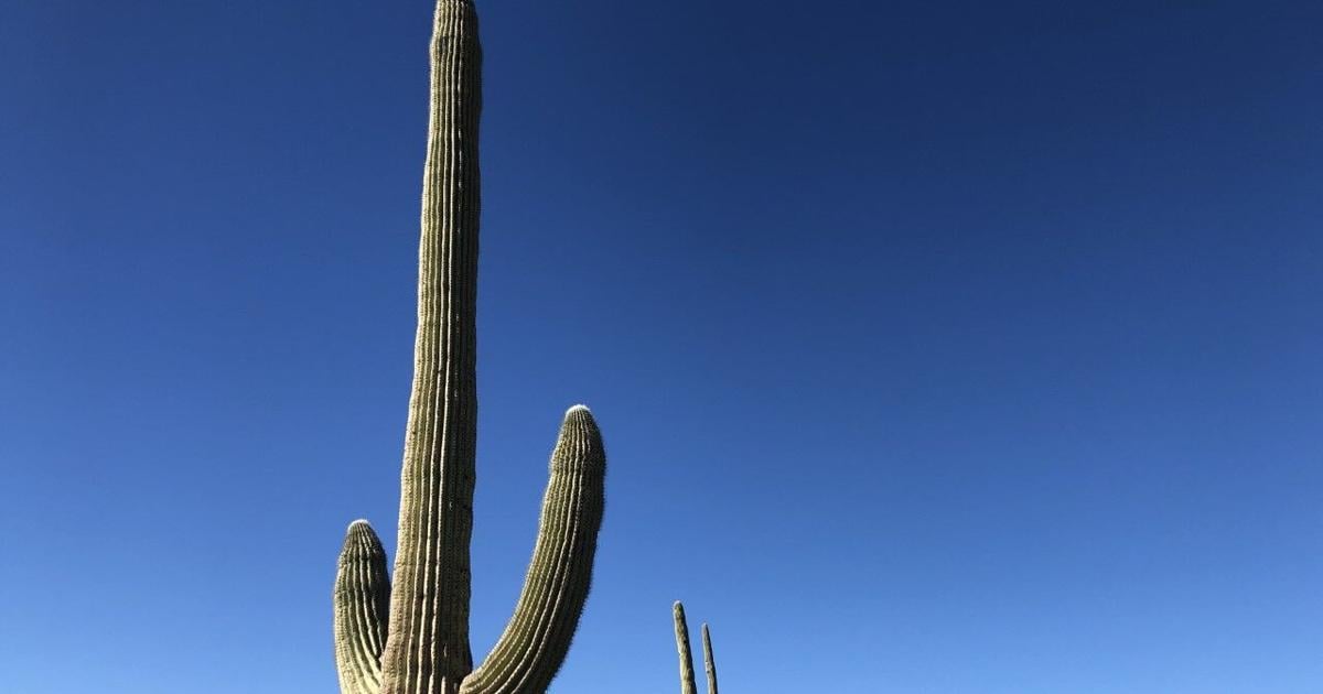 CLIMATE MATTERS: Dramatic changes in northern Sonora | Climate Matters