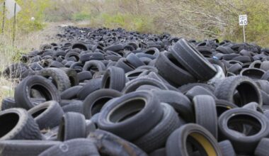 New Orleans seeks crack down on illegal tire dumping | Environment