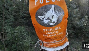 "Slovenija si ne sme privoščiti neprecepljene populacije psov"