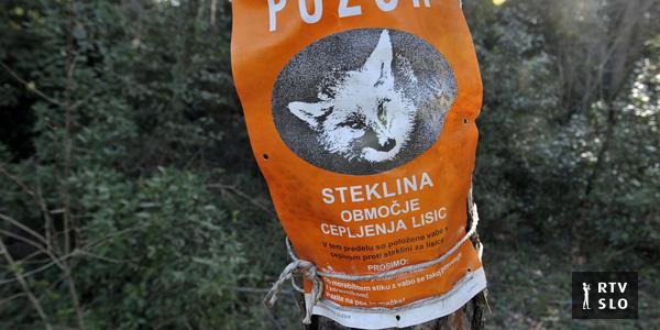 "Slovenija si ne sme privoščiti neprecepljene populacije psov"