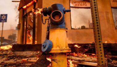 LA Fires: Why Some Fire Hydrants in Los Angeles Had No Water