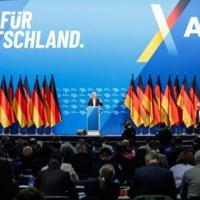 German far right emboldened by Austria | News