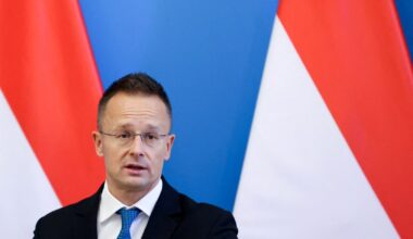 TurkStream attack threatens sovereignty of gas-receiving nations: Hungarian FM