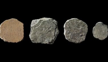 Neolithic people in Denmark sacrificed ‘sun stones’ after climate cataclysm, scientists say | News