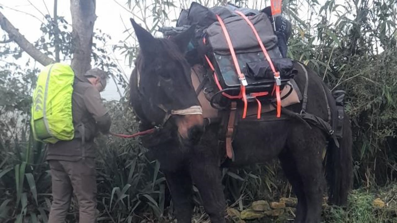 Pierre Raveneau et son fidèle compagnon se sont engagés dans un incroyable périple de quelques années et plusieurs milliers de kilomètres.