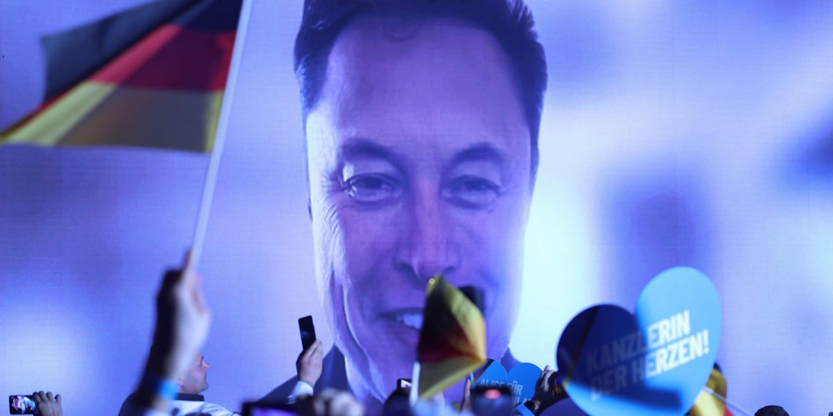 How Elon Musk Is Helping Germany's Far-Right AfD Party Go Mainstream