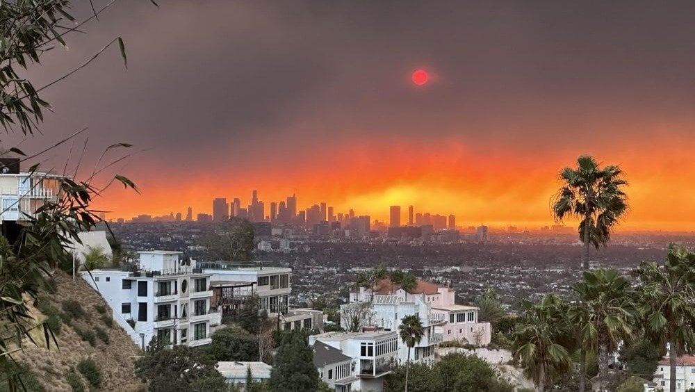 Join r/RoyalsGossip in supporting the the Wildlife Relief Fund with r/LosAngeles!
