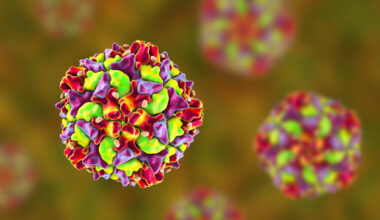 Polio-Viren in 4 EU-Ländern entdeckt: Kinderlähmung ist zurück in Europa | Leben & Wissen