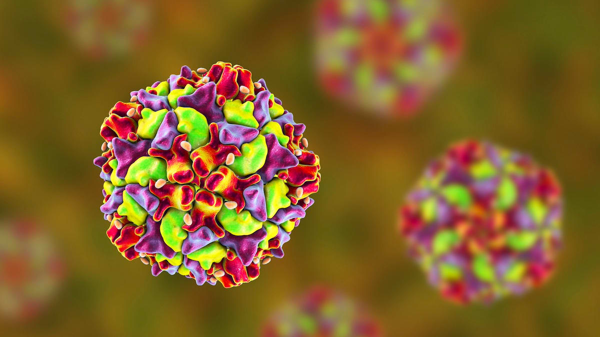 Polio-Viren in 4 EU-Ländern entdeckt: Kinderlähmung ist zurück in Europa | Leben & Wissen