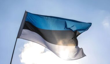 New Estonian military support package for Ukraine to arrive in first half of 2025
