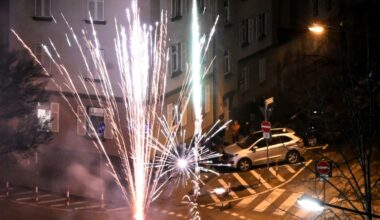 Germans celebrate New Year