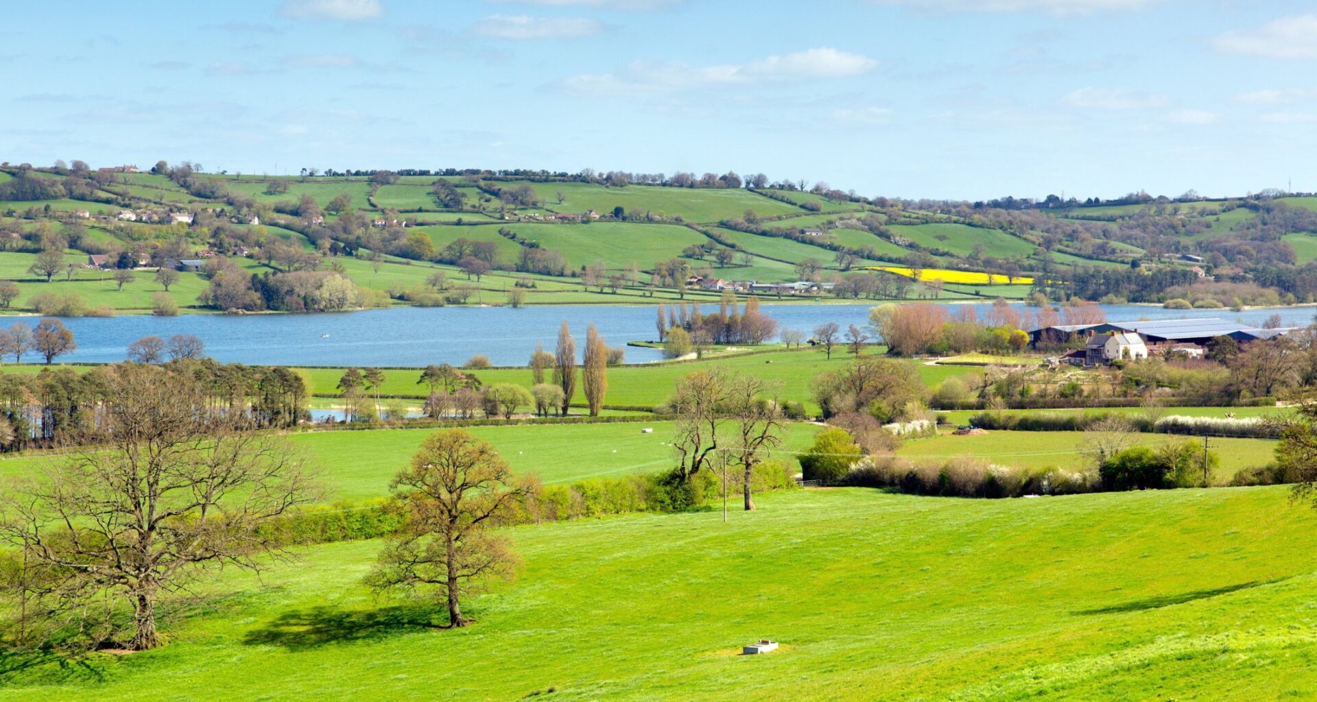 Brexit weakened environmental governance in the UK