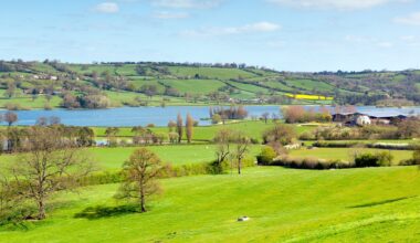 Brexit weakened environmental governance in the UK