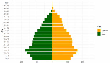 [OC] Ireland's Changing Population Structure 1996-2025