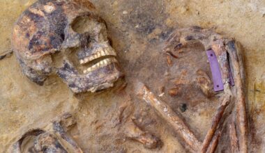 Bei Grabungsarbeiten: 4500 Jahre alte Krieger in Deutschland gefunden | Regional