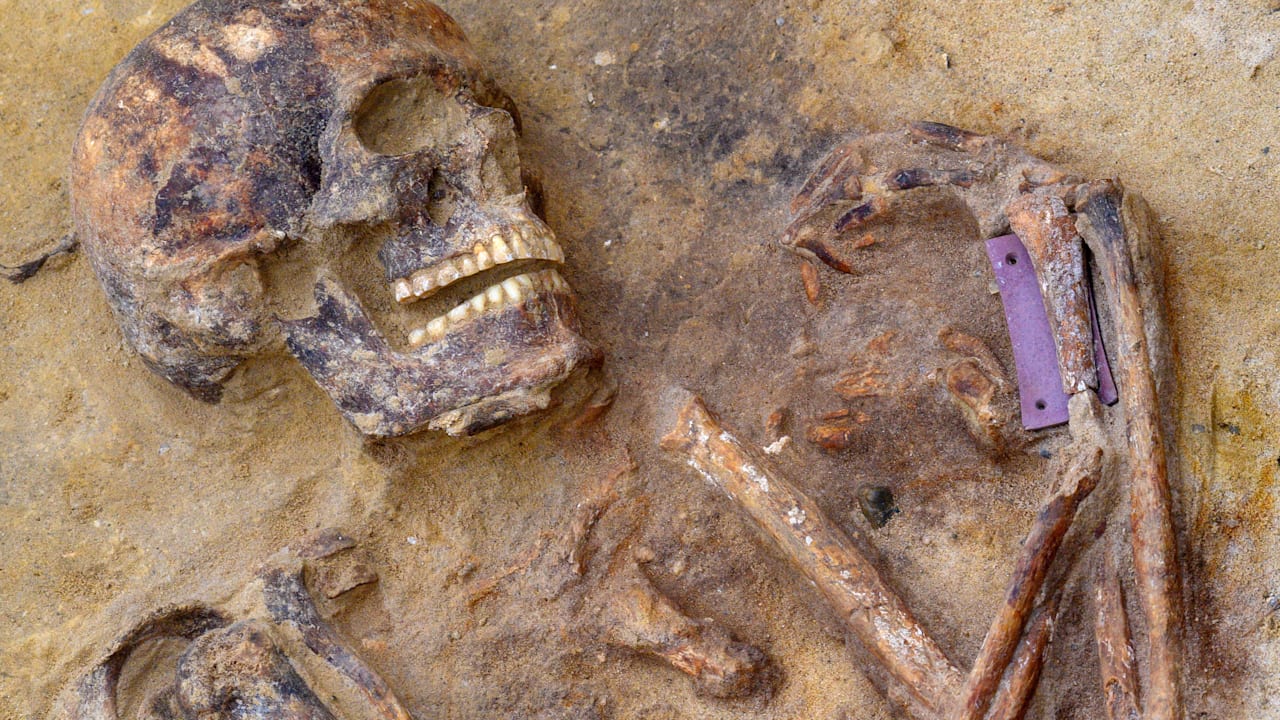 Bei Grabungsarbeiten: 4500 Jahre alte Krieger in Deutschland gefunden | Regional
