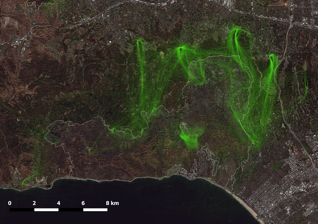 Aerial Firefighting Operations in Los Angeles