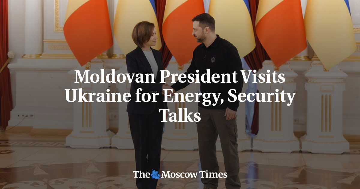 Moldovan President Visits Ukraine for Energy, Security Talks