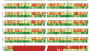 2024 was another slow post-pandemic year for the US domestic box office [OC]