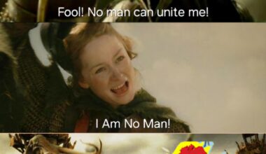 In honour of Eowyn uniting Ireland under a red weather warning