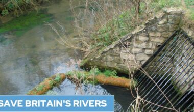Cleaning Britain's polluted rivers will cost 'eye-watering' £51bn, Government says