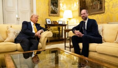 Prince William (R) met Trump on the sidelines of the Notre Dame reopening ceremony in Paris (Aaron Chown)