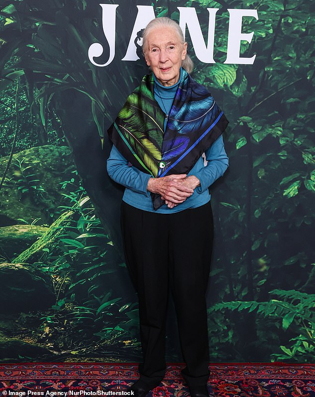 The Duke of Sussex ’s friend, Dr Jane Goodall (pictured), predicted in 2020 that Harry would stop shooting