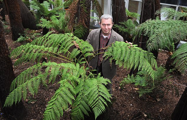 It is in a shocking state,' says Todd Longstaffe Gowan (pictured), the Historic Royal Palaces gardener. 'I won't be knocking that into shape! It is impossible!'