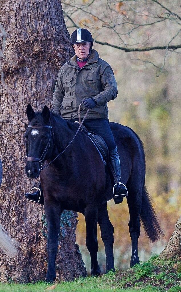 Prince Andrew (pictured out riding on his estate), corralled at Royal Lodge with little to do since his disgrace, has not been busying himself maintaining the 21 acres of garden that surrounds the 30-room mansion