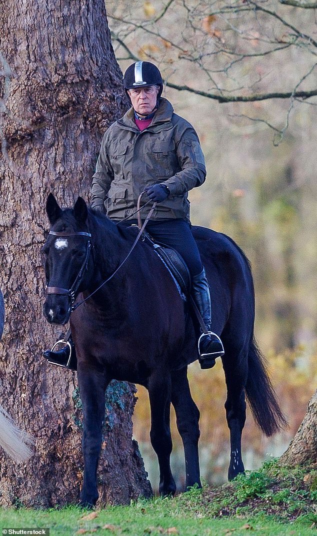 Prince Andrew (pictured out riding on his estate), corralled at Royal Lodge with little to do since his disgrace, has not been busying himself maintaining the 21 acres of garden that surrounds the 30-room mansion