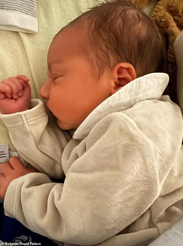 Princess Maria Laura of Belgium has given birth to a son, named Albert, the Belgian palace has announced (pictured)