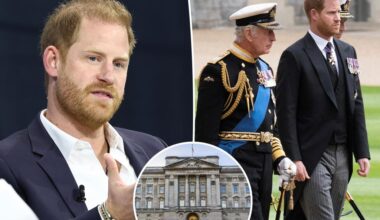 Prince Harry declines offer to stay at Buckingham Palace for upcoming London trip: report