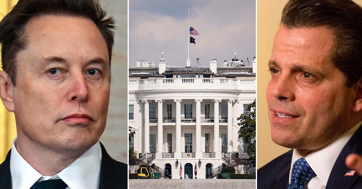 USA: Ser tidpunkt då Musk sparkas: ”Trump är rädd”