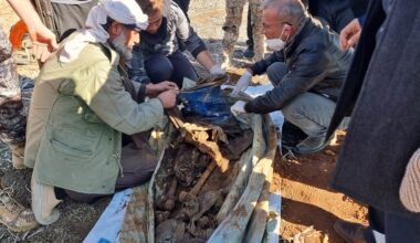 Thousands of bodies found in Syria’s mass graves | Syria's War News