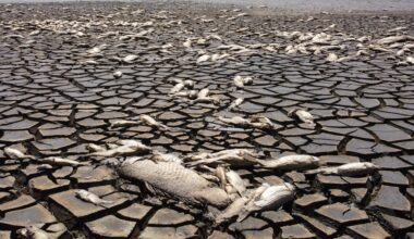 Earth records hottest ever year in 2024 and crosses key 1.5C threshold | Climate Crisis News