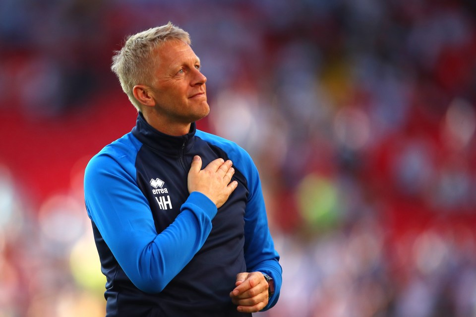 Iceland FA is looking for a new boss following the departure of Age Hareide