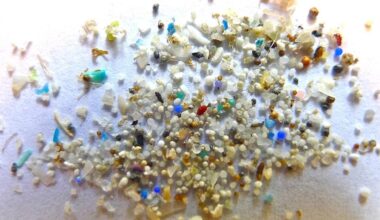 Tackling microplastic pollution with a cross-society approach