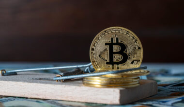 Unmasking Cryptocurrency Fraud: Insights on Nigerian Perpetrators