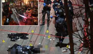 US green card holder stabs 4 in Tel Aviv terror attack — then is shot dead