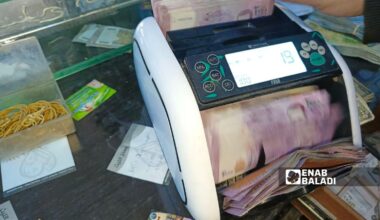 Syrian currency denominations - December 10, 2024 (Enab Baladi)