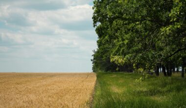 Initiative in the European Union Embraces Organic as a Climate Solution, as Fires Accelerate in the U.S.