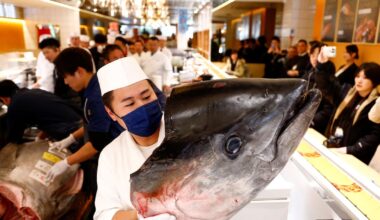 Best photos of January 5: First tuna auction of the year in Tokyo to the Three Wise Men in Spain