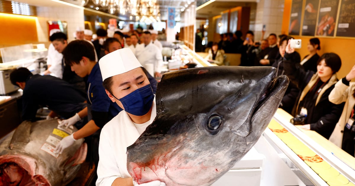 Best photos of January 5: First tuna auction of the year in Tokyo to the Three Wise Men in Spain