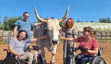 istrian de dignan ecomuseum