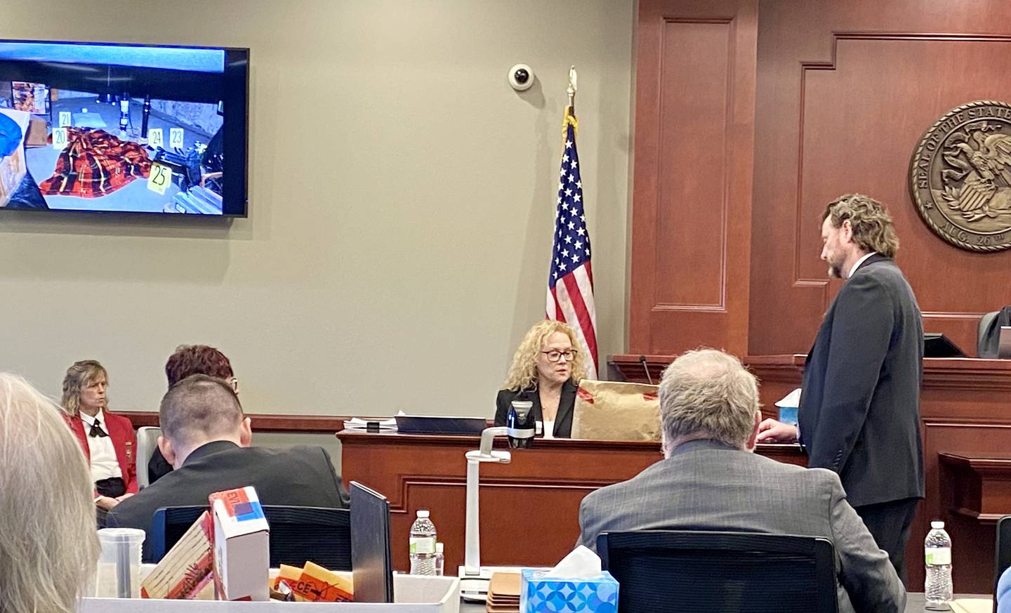 Lead prosecutor Scott Schwertley (right) speaks to now retired DeKalb County sheriff's detective Laurie Lane, in the witness stand, as Lane describes a piece of evidence she helped collect from the rural Sycamore home of Patricia Wilson and Robert Wilson the days after the Wilsons were found beaten to death on Aug. 15, 2016. Lane testified on Day 3 of the double murder trial of Jonathan D. Hurst on Jan. 27, 2025. Hurst is charged in the Wilson killings. On the screen depicts a crawl space in the Wilson home's basement laundry room, where police found a blanket, pillow, two knives and soda cans near where Patricia's body lay.
