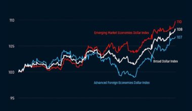 U.S. Dollar Strengthens More Against Emerging Markets Than Advanced Economies in 2024