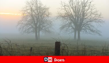 Météo: un temps froid et ensoleillé ce vendredi, des averses hivernales attendues en soirée