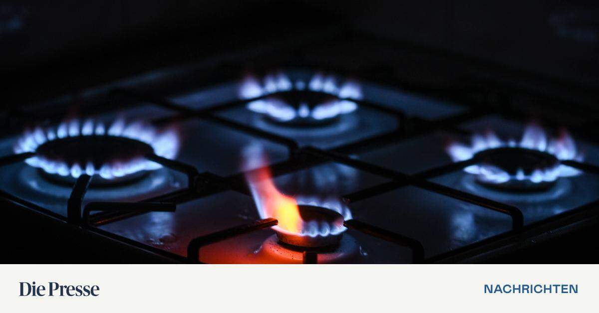 Gaspreise in Europa steigen auf den höchsten Stand seit einem Jahr – DiePresse.com