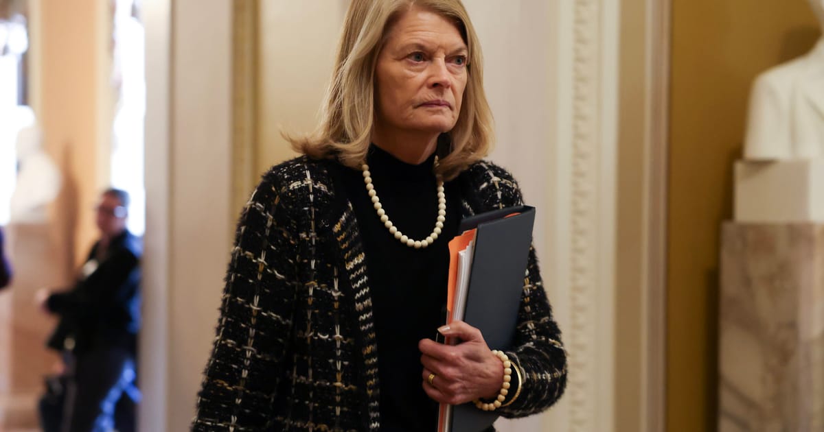 It’s an ally, not an asset – POLITICO