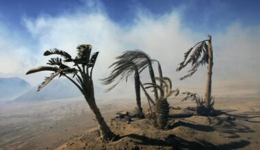Los Angeles Braces For Another Santa Ana Event With Gusts To 100 MPH